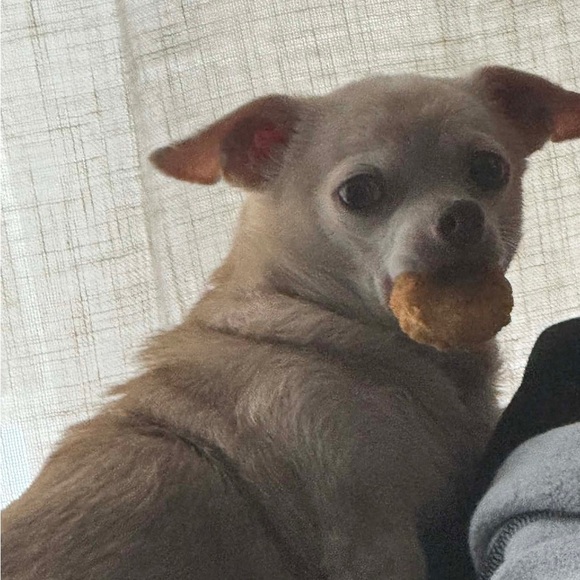 Meet your Posher, Kevin - Picture 1 of 1